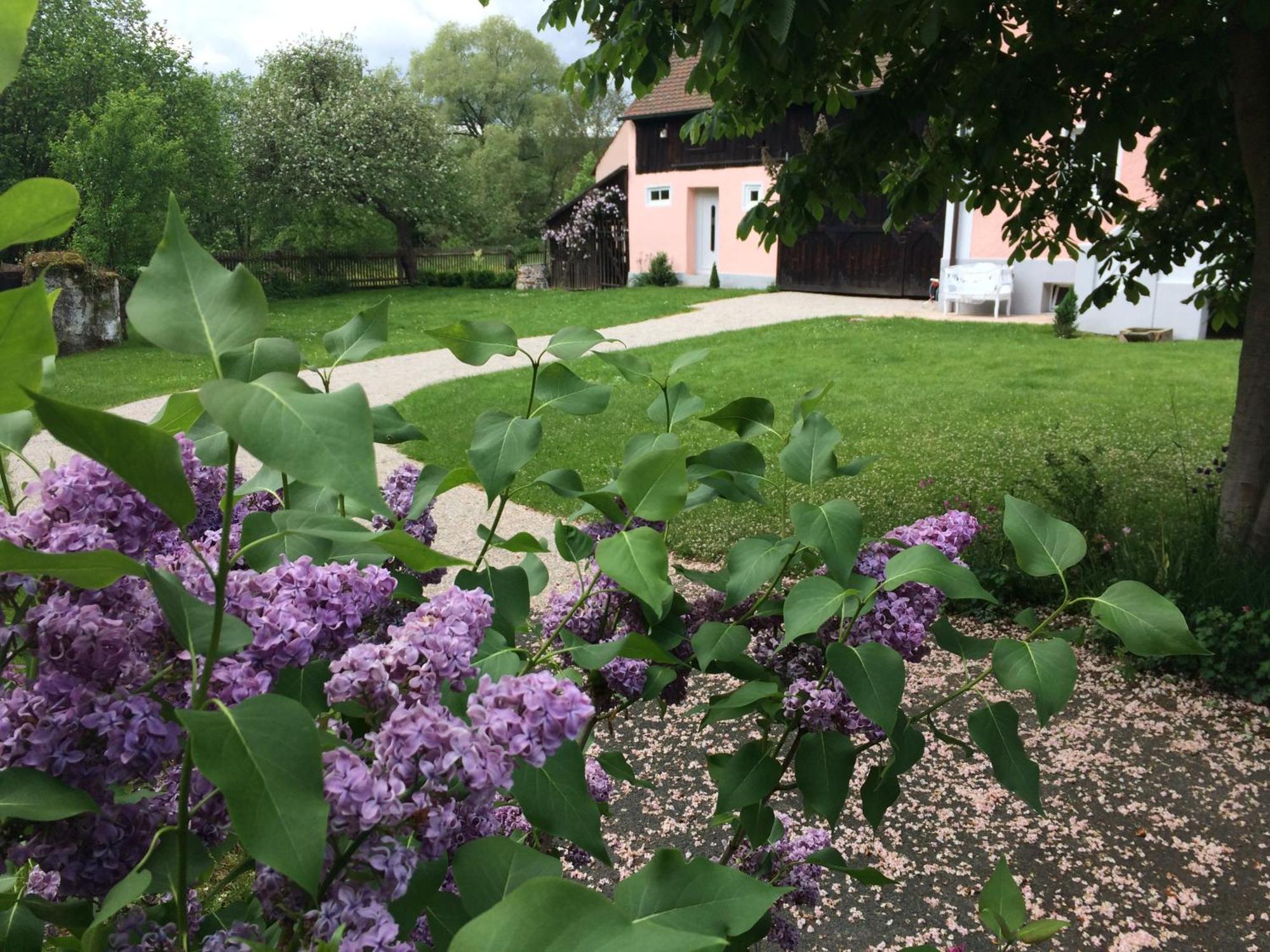 Landhaus Am Schloss Schnabelwaid 외부 사진